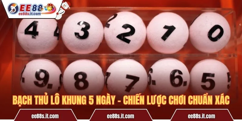 Bạch Thủ Lô Khung 5 Ngày – Chiến Lược Chơi Chuẩn Xác