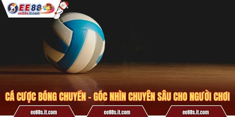 Cá Cược Bóng Chuyền – Góc Nhìn Chuyên Sâu Cho Người Chơi