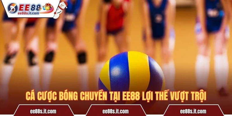 Cá cược bóng chuyền tại EE88 lợi thế vượt trội