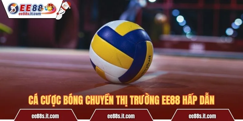 Cá cược bóng chuyền thị trường EE88 hấp dẫn