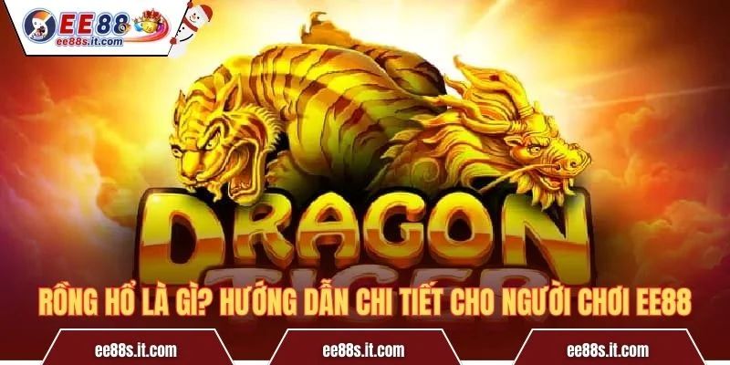 Rồng Hổ Là Gì? Hướng Dẫn Chi Tiết Cho Người Chơi EE88