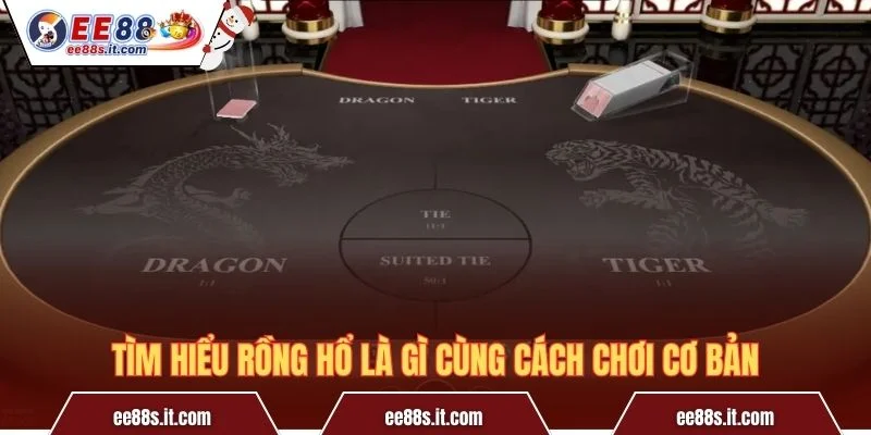 Tìm hiểu Rồng Hổ là gì cùng cách chơi cơ bản
